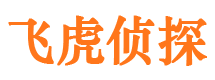 平江婚外情调查取证